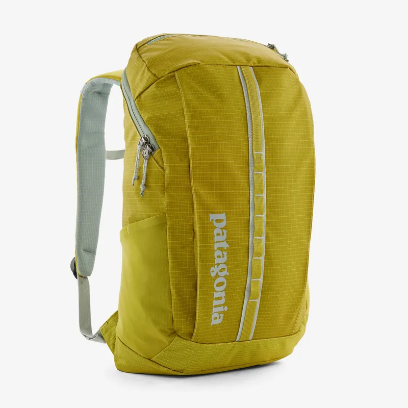 Patagonia Black Hole 25L Pack in Shrub Green-1