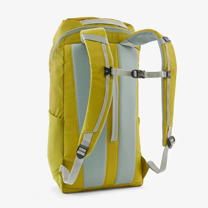 Patagonia Black Hole 25L Pack in Shrub Green-2