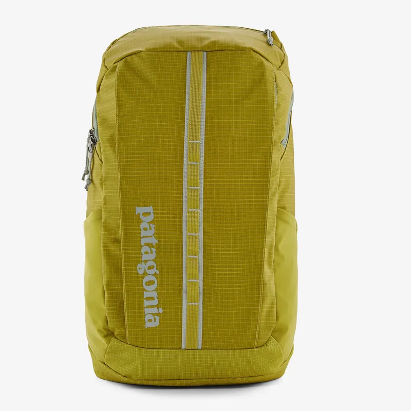 Patagonia Black Hole 25L Pack in Shrub Green