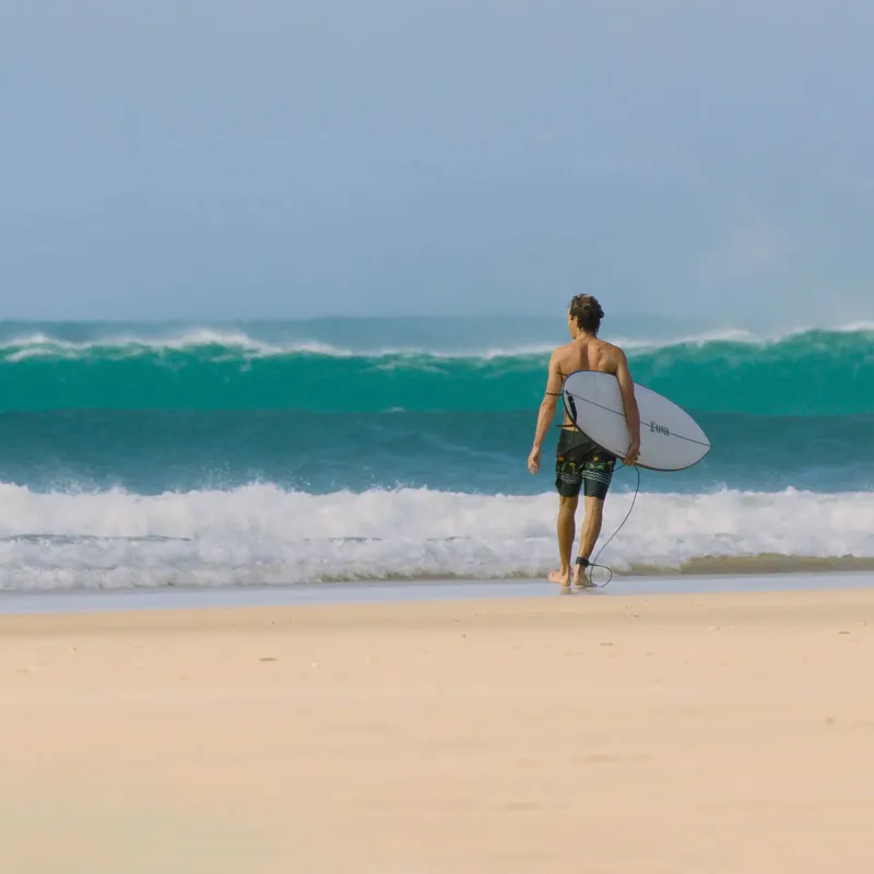 JS Industries El Baron PE Surfboard - FCS-1