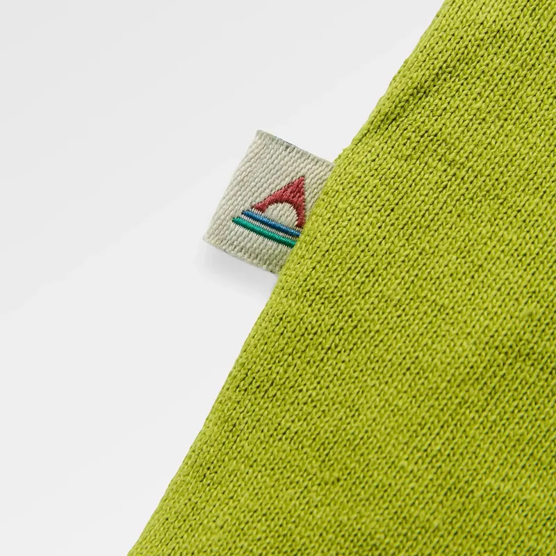 Passenger Roamer Recycled T-Shirt in Tea Green-4