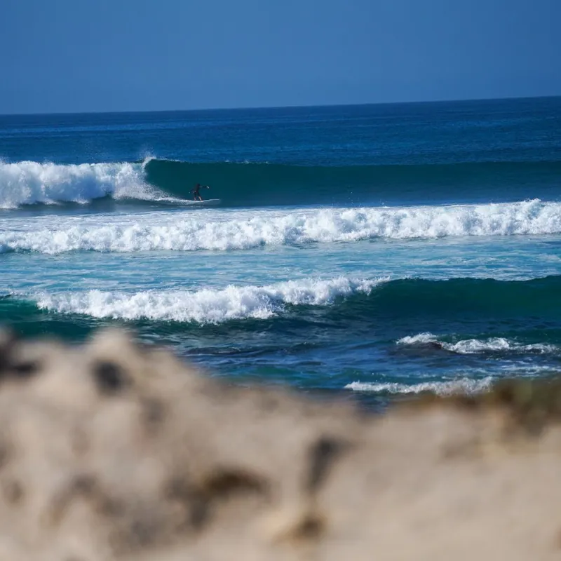 LibTech Alex Lopez Terrapin Surfboard-3