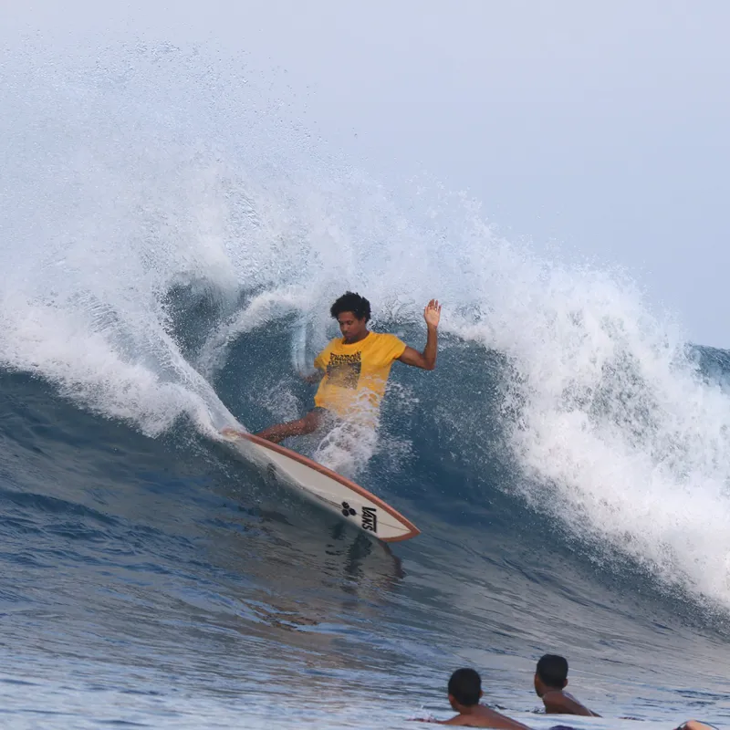 Channel Islands Twin Pin Surfboard - FCS2-2