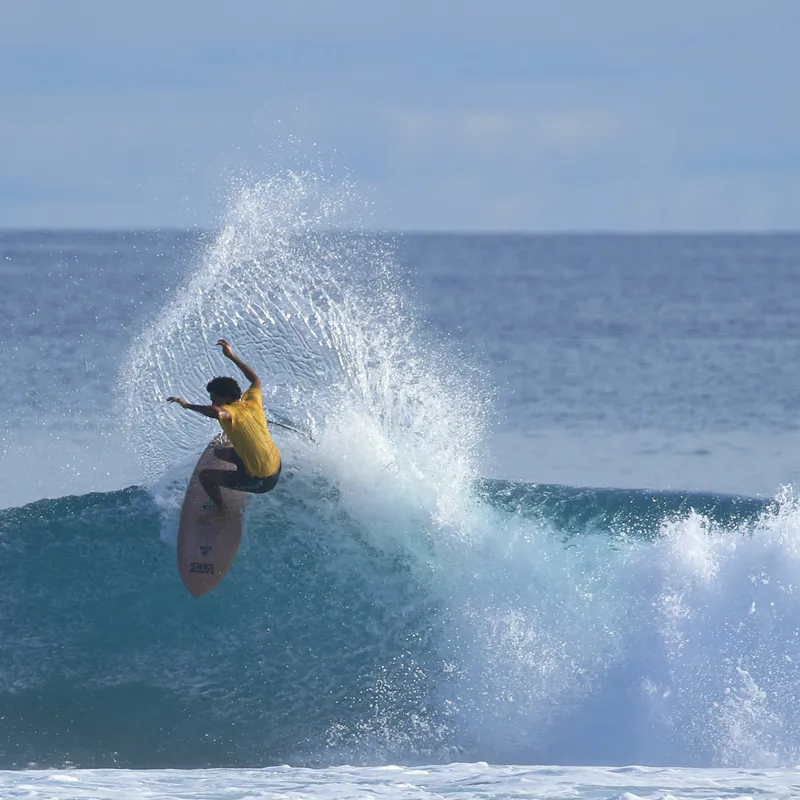 Channel Islands Twin Pin Surfboard - FCS2-3