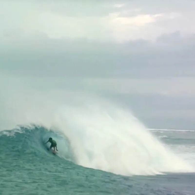 Channel Islands Twin Pin Surfboard - Futures-7