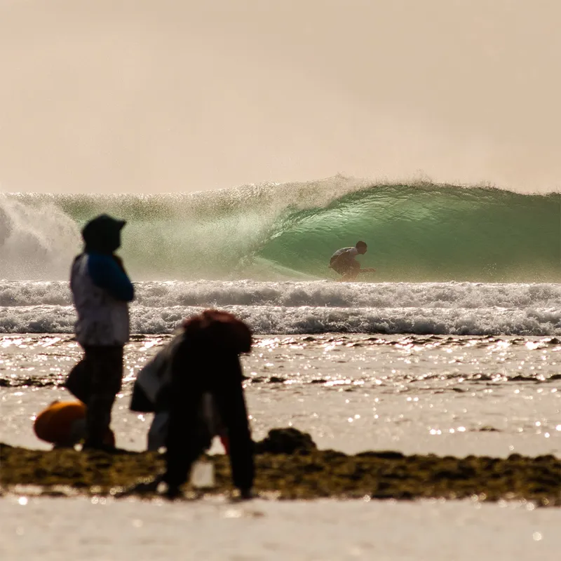 FCS Deus PG Modern Keel Twin Fin Set-8