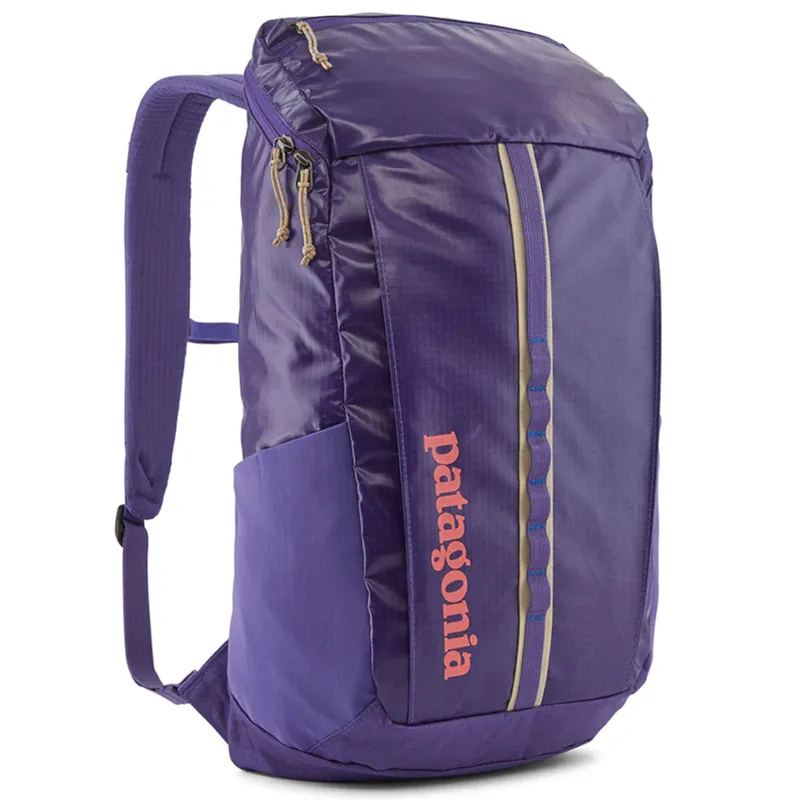 Patagonia Black Hole 25L Pack in Perennial Purple-1