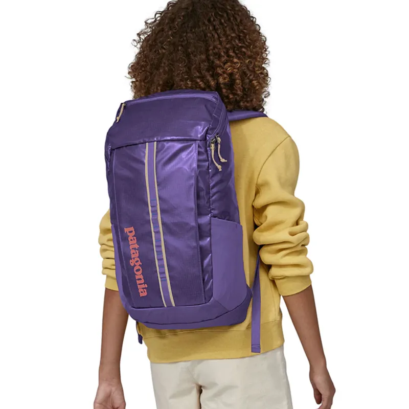 Patagonia Black Hole 25L Pack in Perennial Purple-2