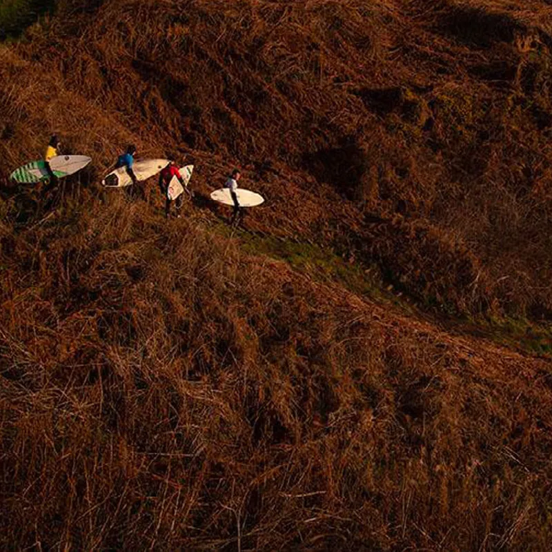 Rip Curl / KOTP Tee / Black-6