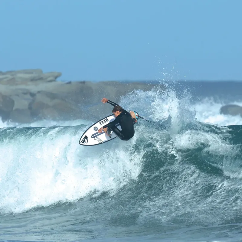 Ocean and Earth Micro Grom Tail Pad in Black-Aqua-2