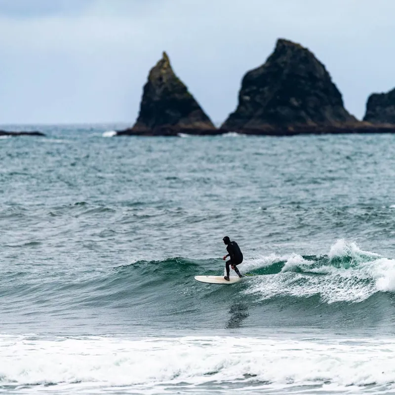 LibTech Pickup Stick Surfboard-8