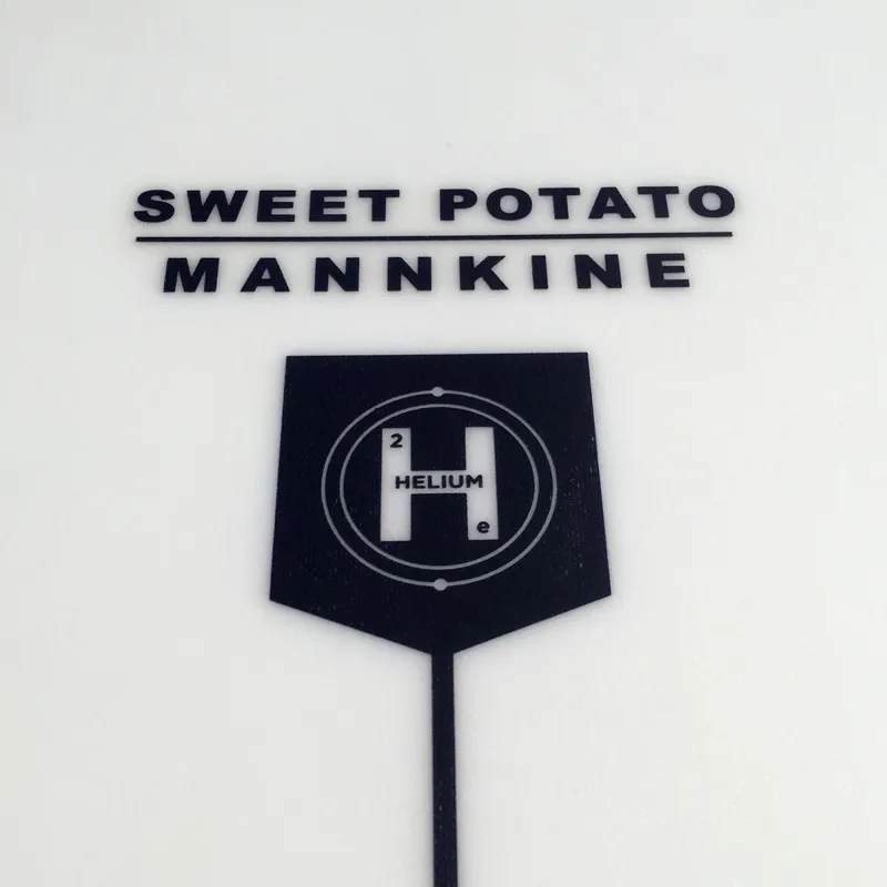 Firewire Helium Sweet Potato Surfboard - FCS2-3