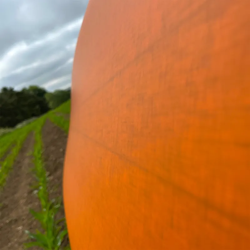 Surftech Wayne Rich Wildcard 3 Surfboard in NFT-3